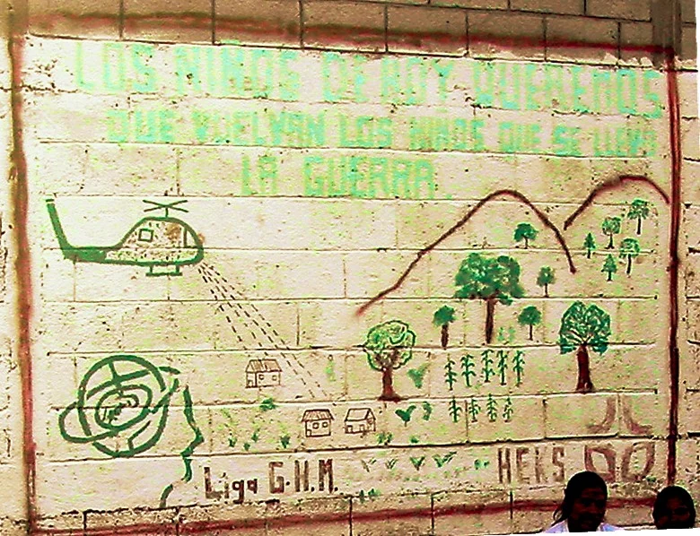 Photo of Playa Grande