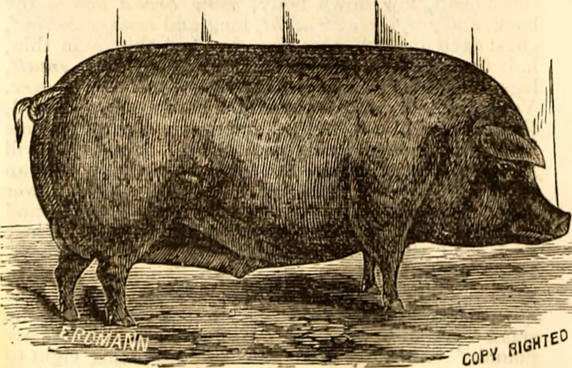 Photo of Pleasant Run Farm