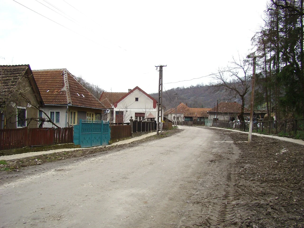 Photo of Pleşcuţa