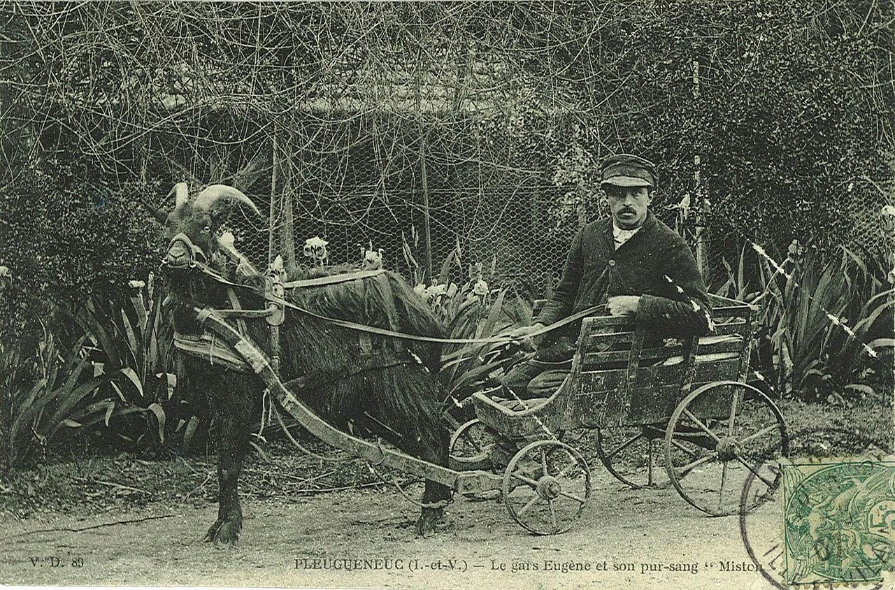 Photo of Pleugueneuc