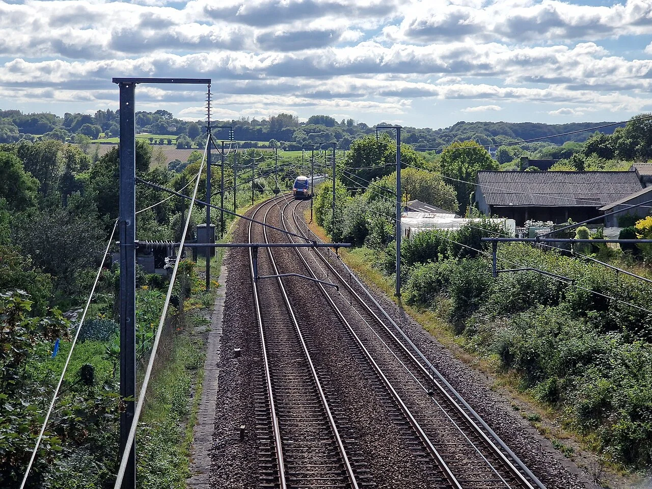 Photo of Pleyber-Christ