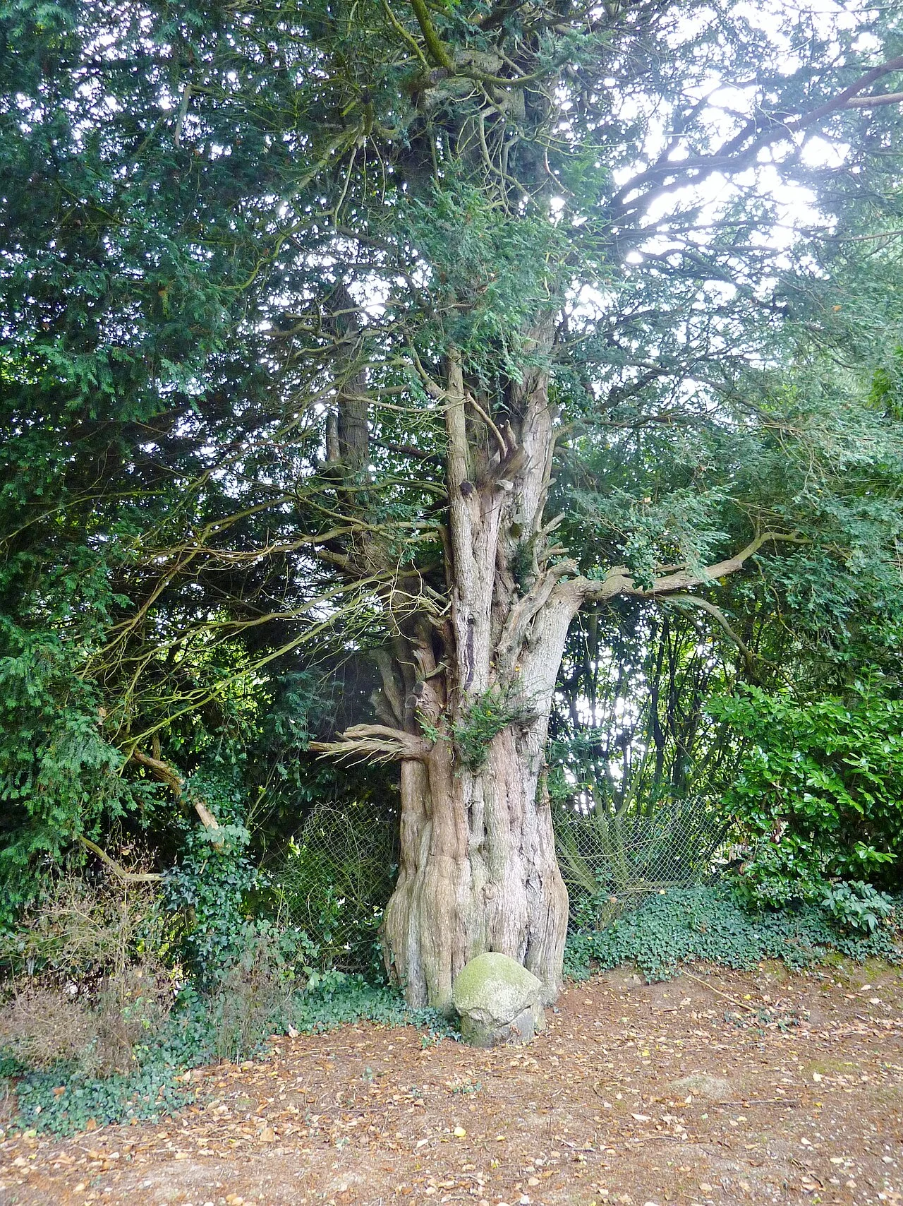 Photo of Plounévézel