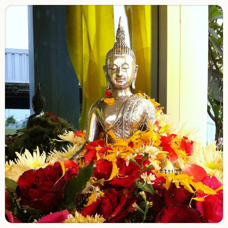 Photo of Pluak Daeng