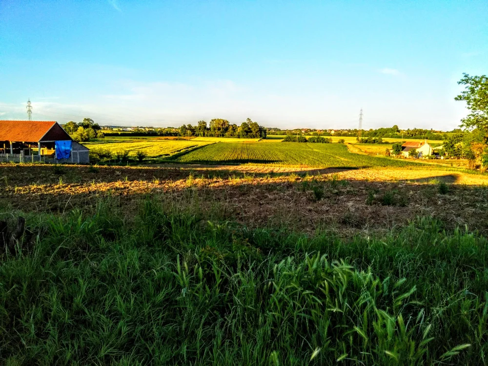 Photo of Pocerski Pričinović