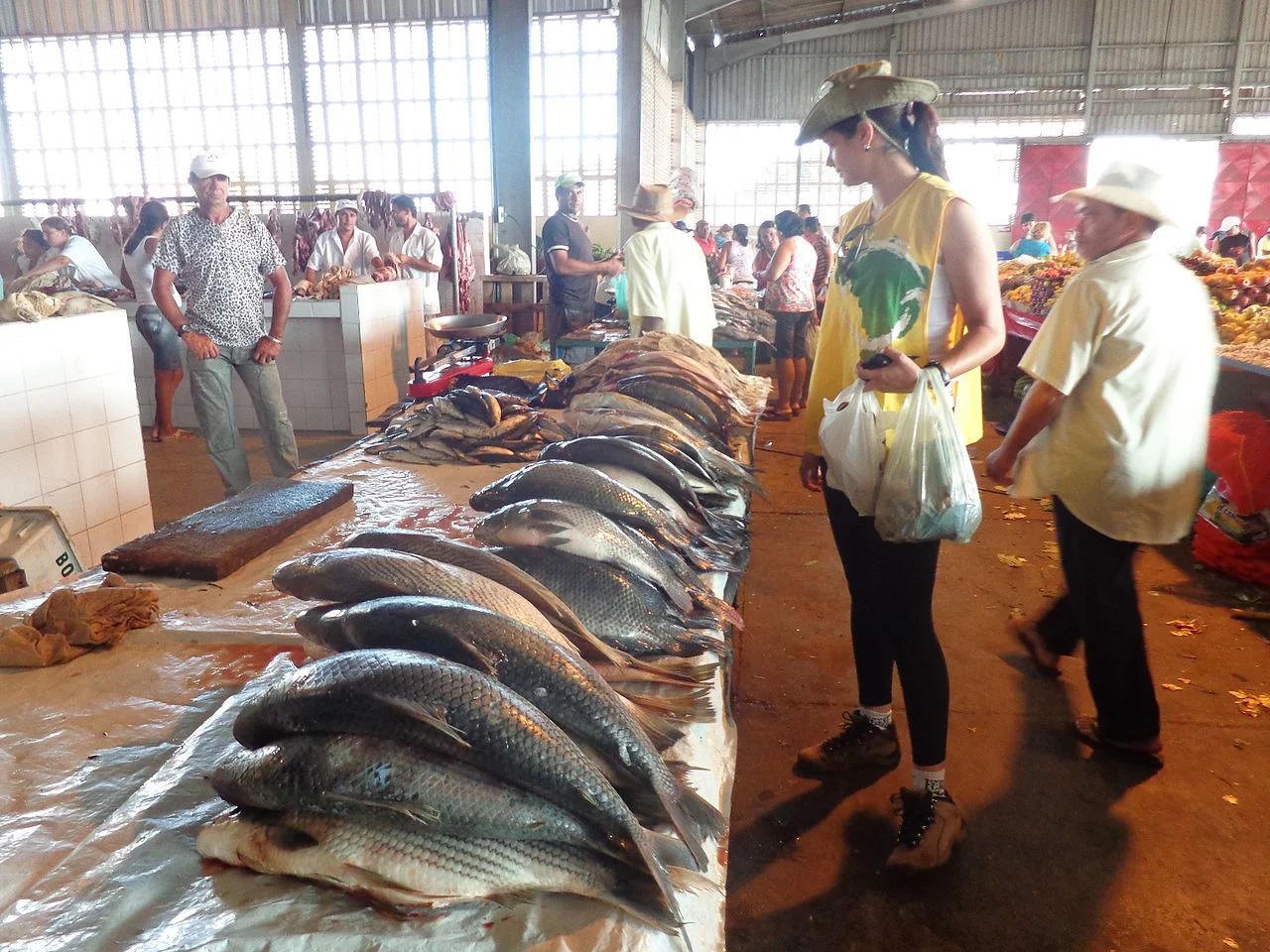 Photo of Poço Verde