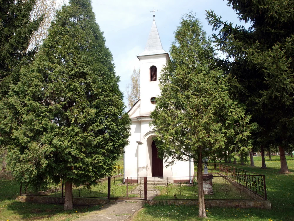 Photo of Podcrkavlje