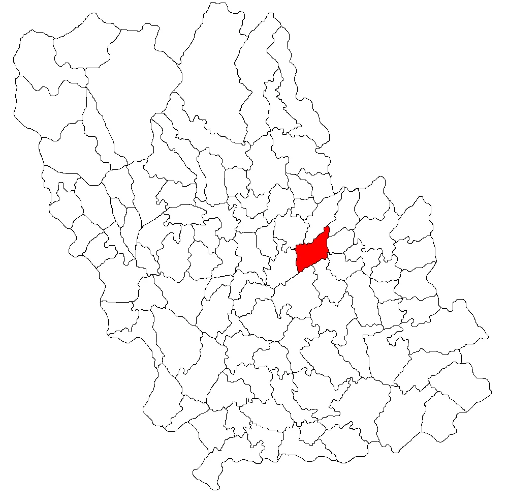 Photo of Podenii Noi