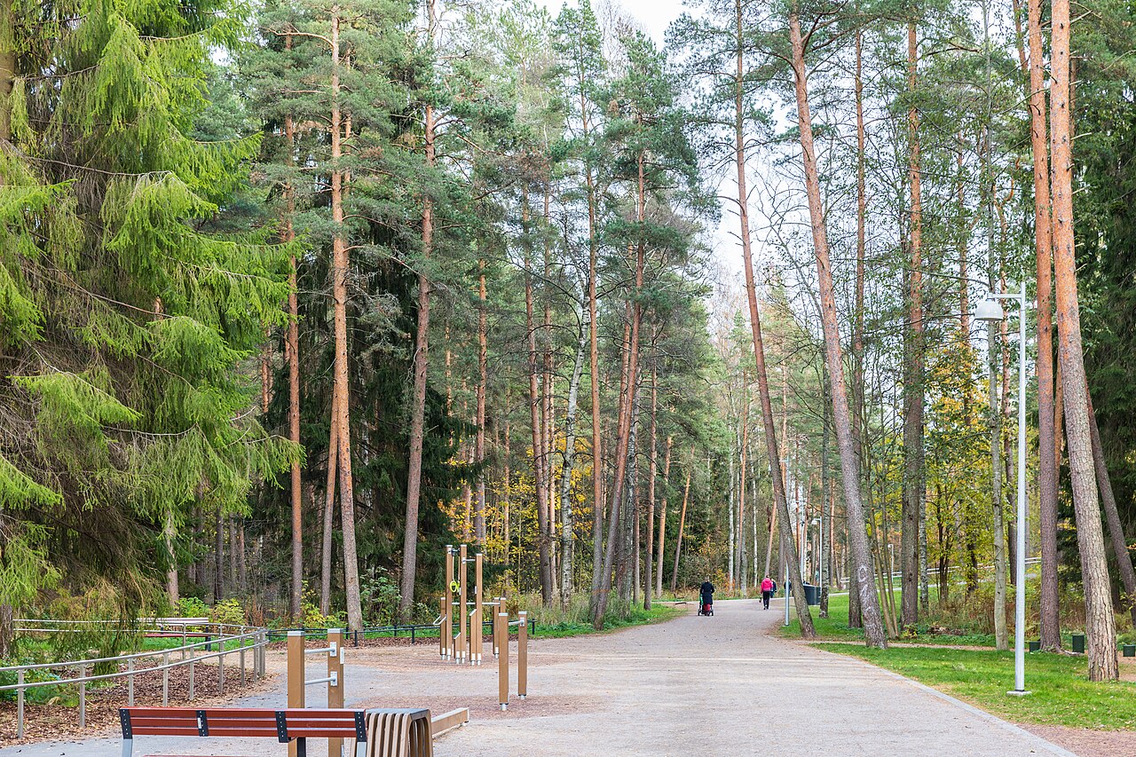 Runar Schildt Park