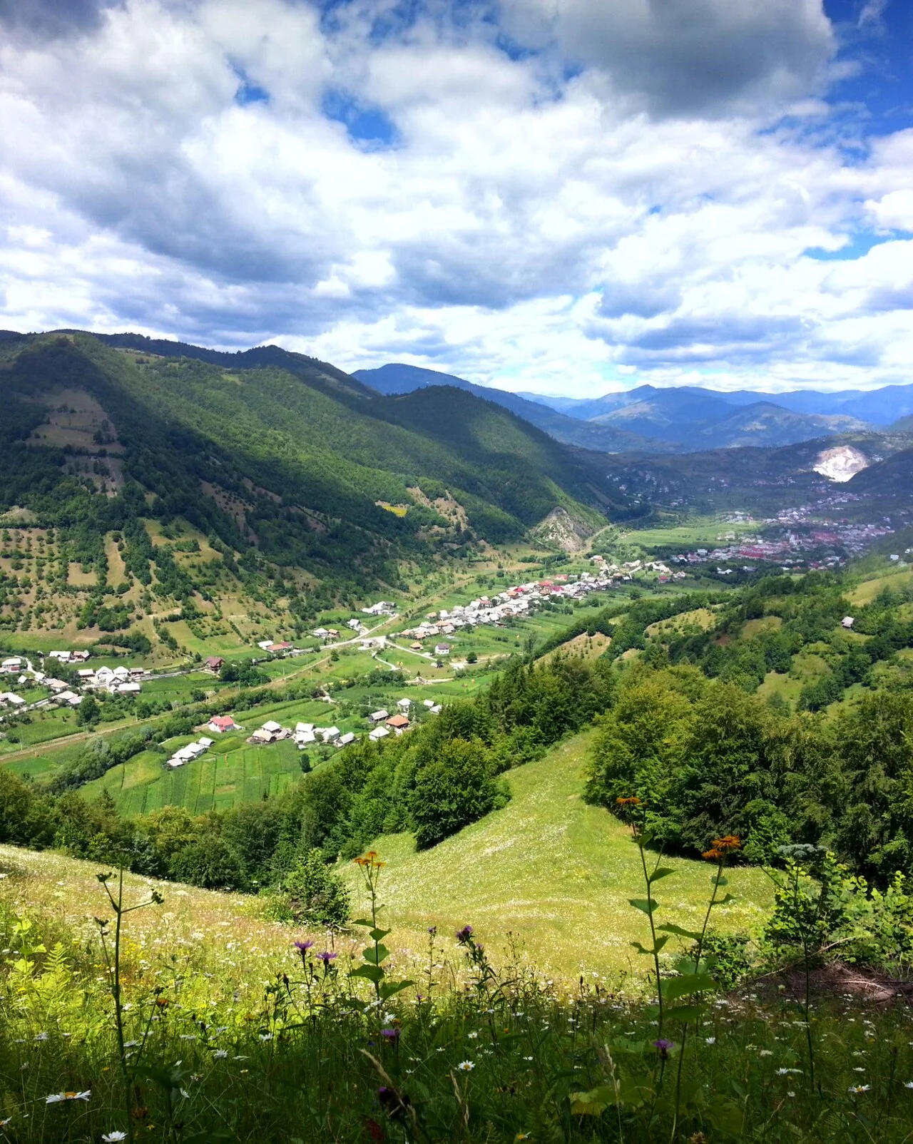 Photo of Poiana Ilvei