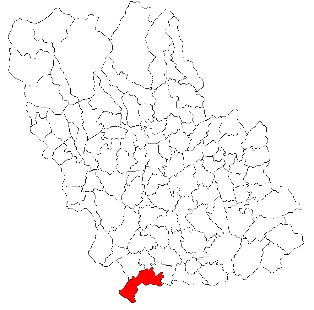 Photo of Poienarii Burchii