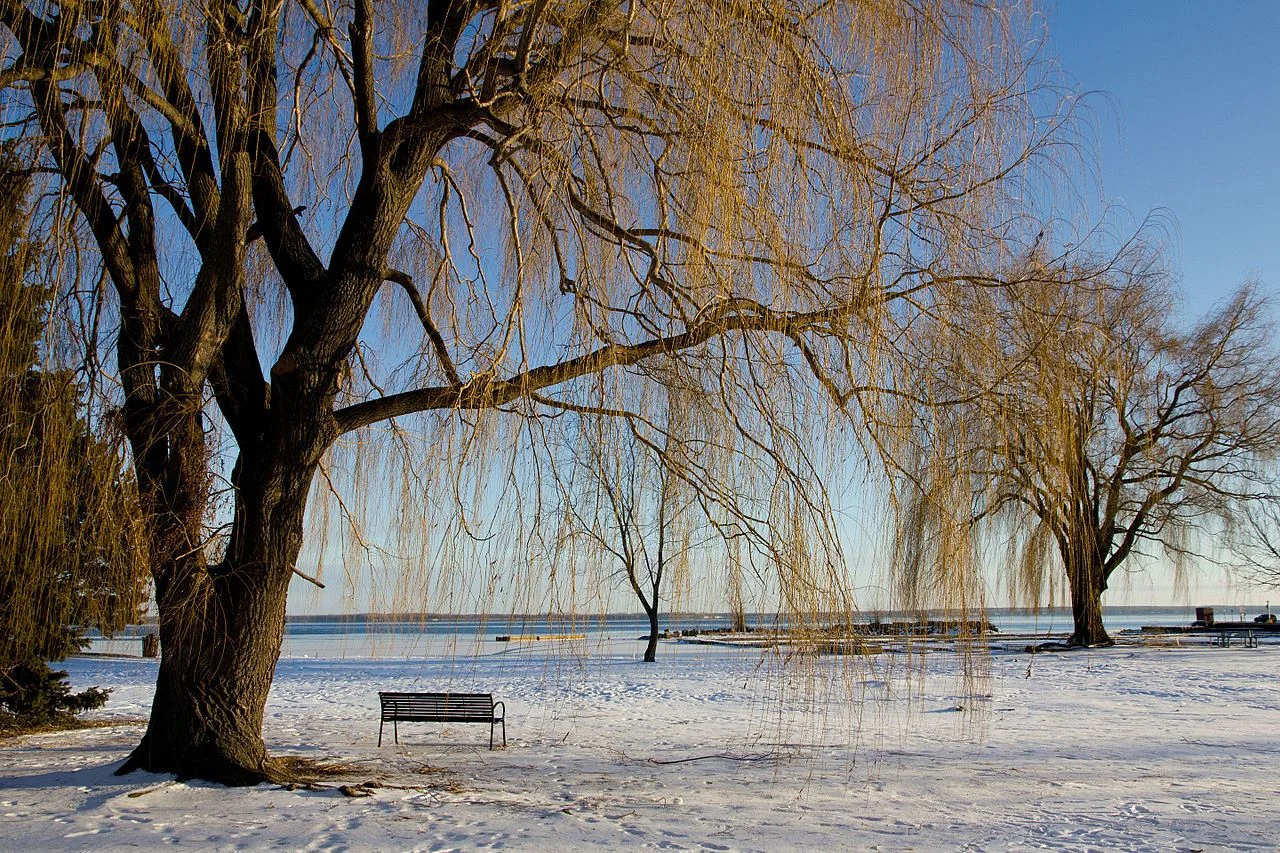 Photo of Pointe-Claire