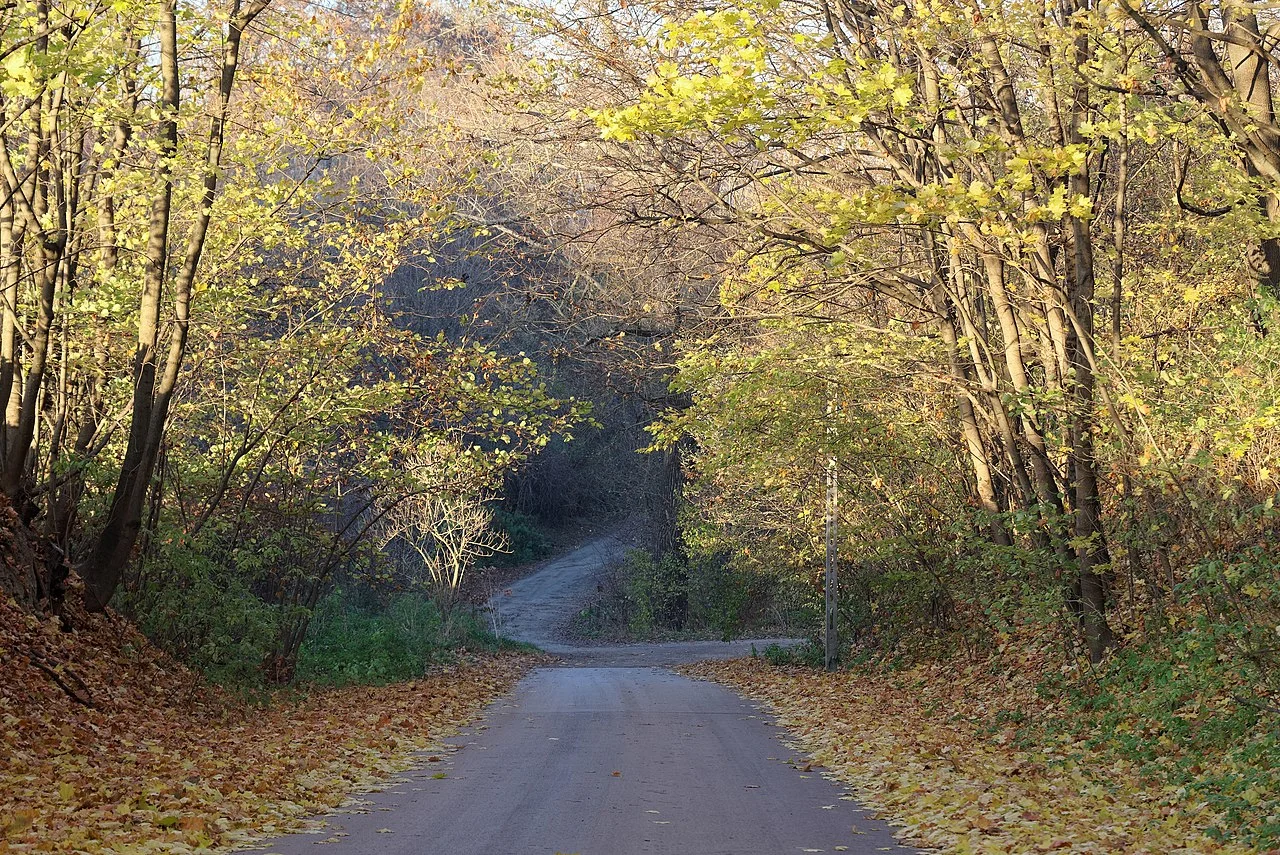 Photo of Pokrzywnica