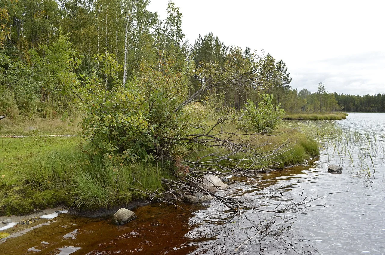 Photo of Polovinnoye