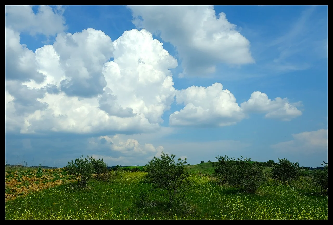 Photo of Polydéndri