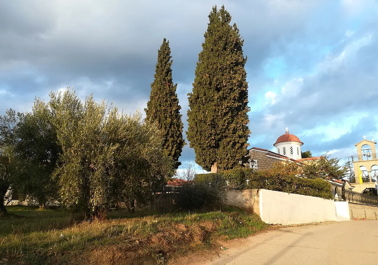 Photo of Polydéndri