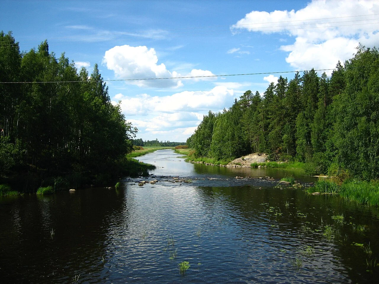 Photo of Pomarkku