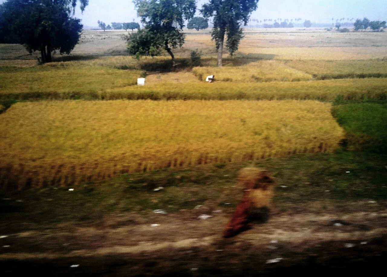 Photo of Pondarkanali