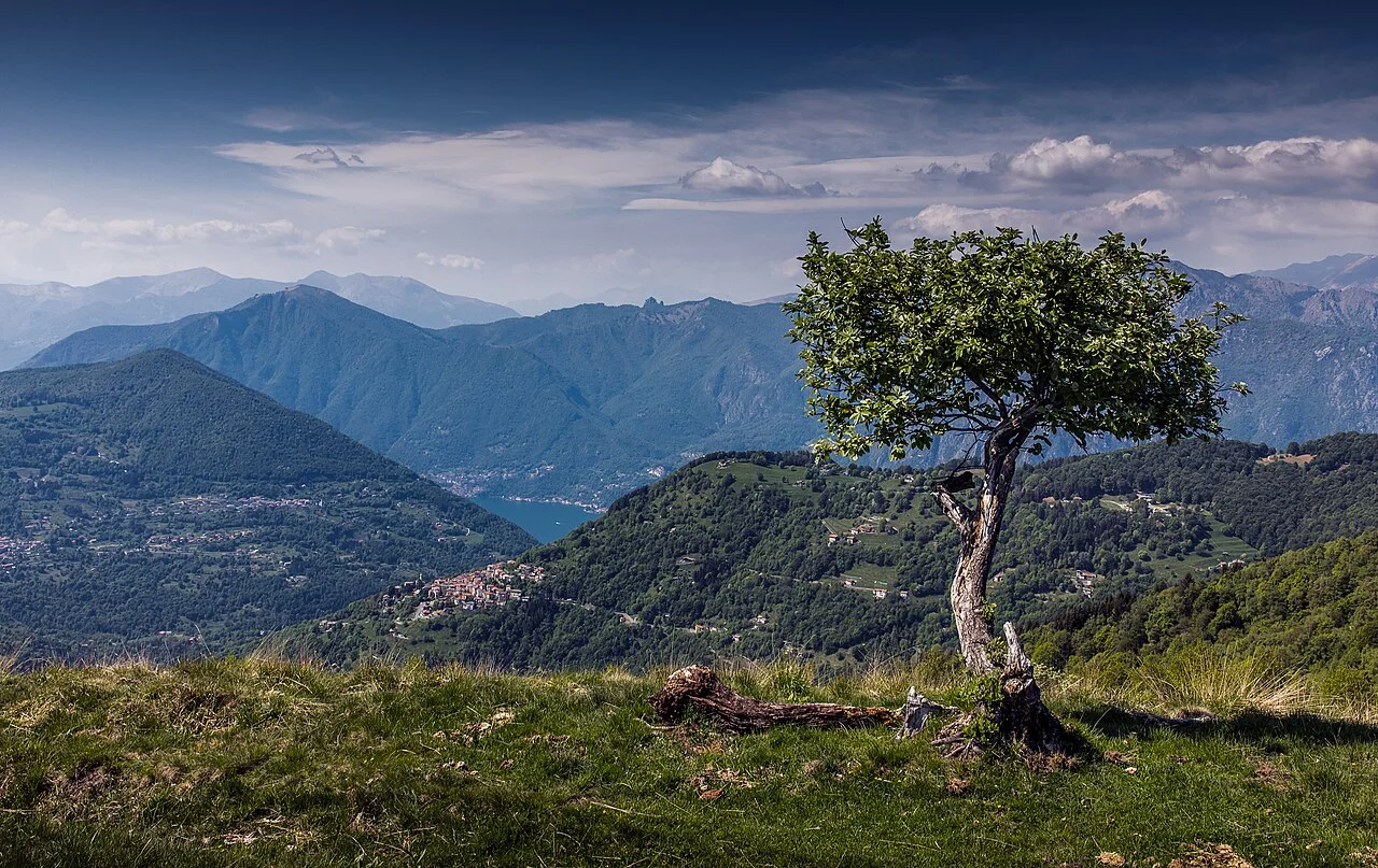 Photo of Ponna Superiore