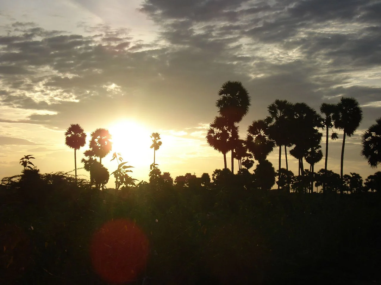 Photo of Ponnamarāvati