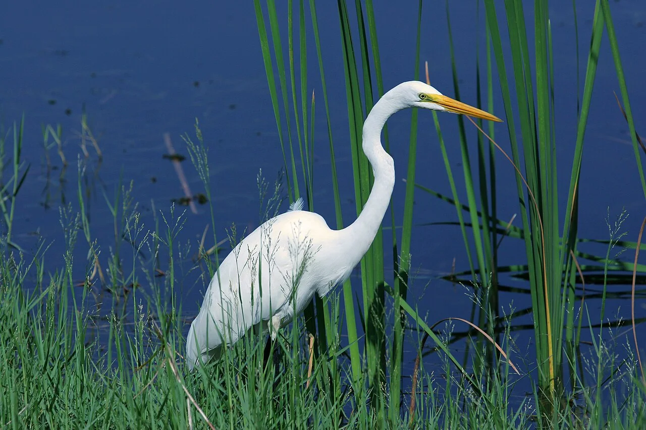 Photo of Ponte Vedra Beach