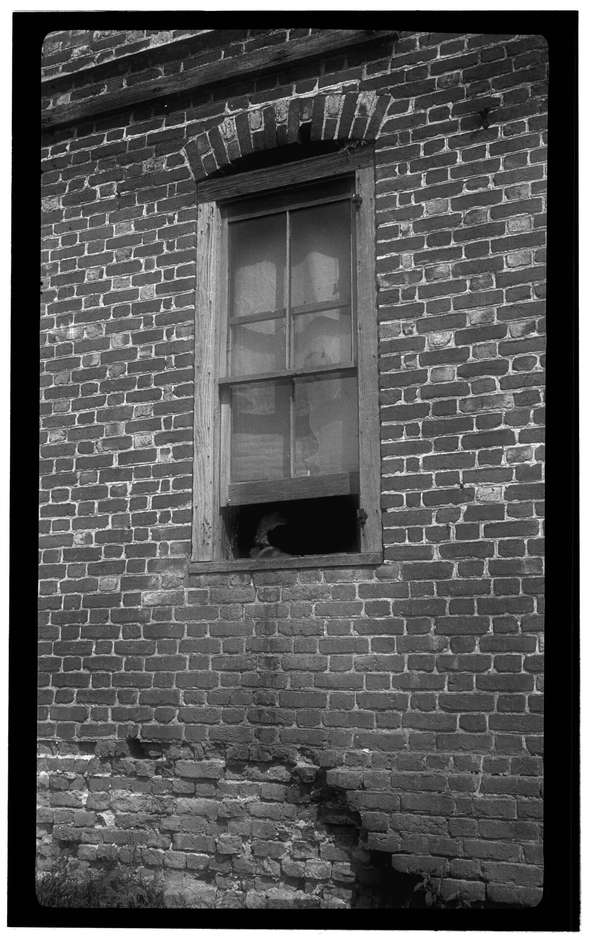 Photo of Poplar Grove