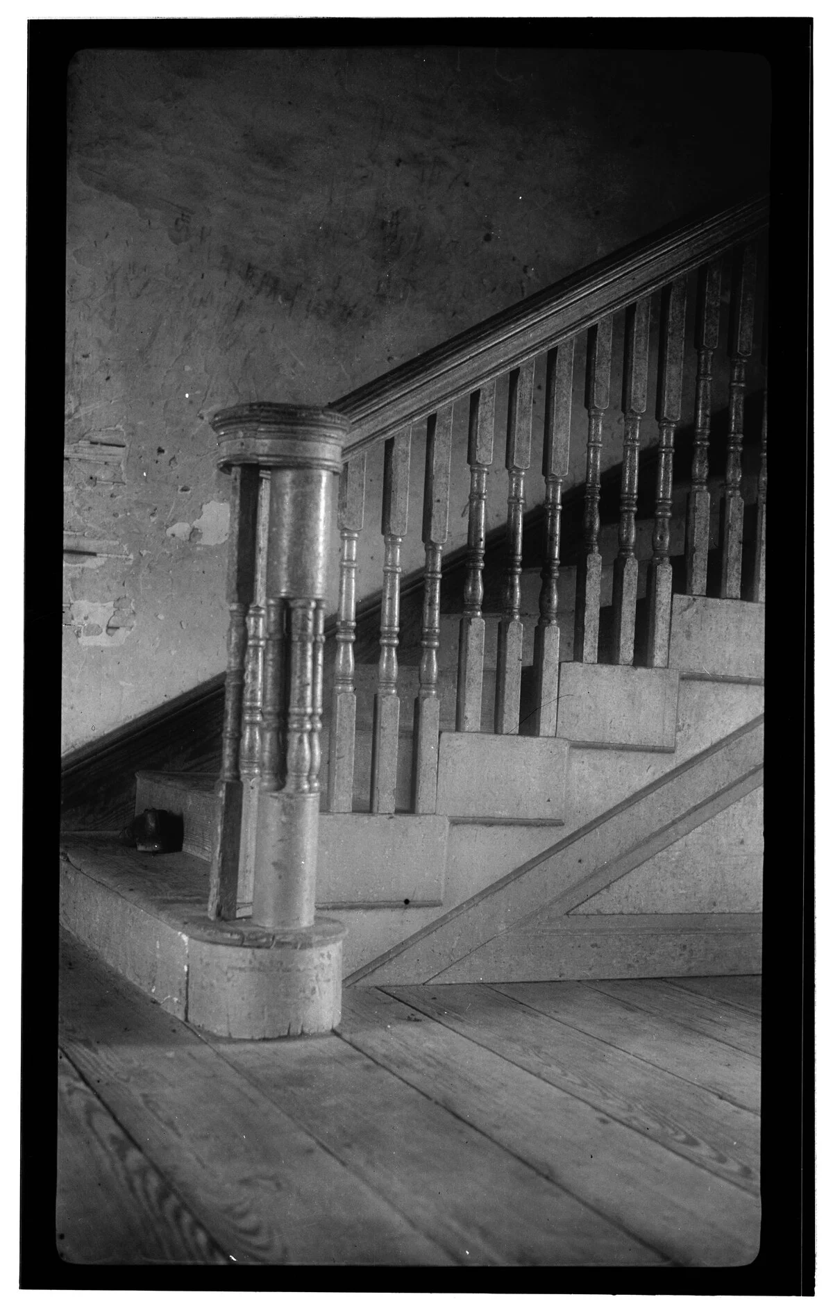 Photo of Poplar Grove