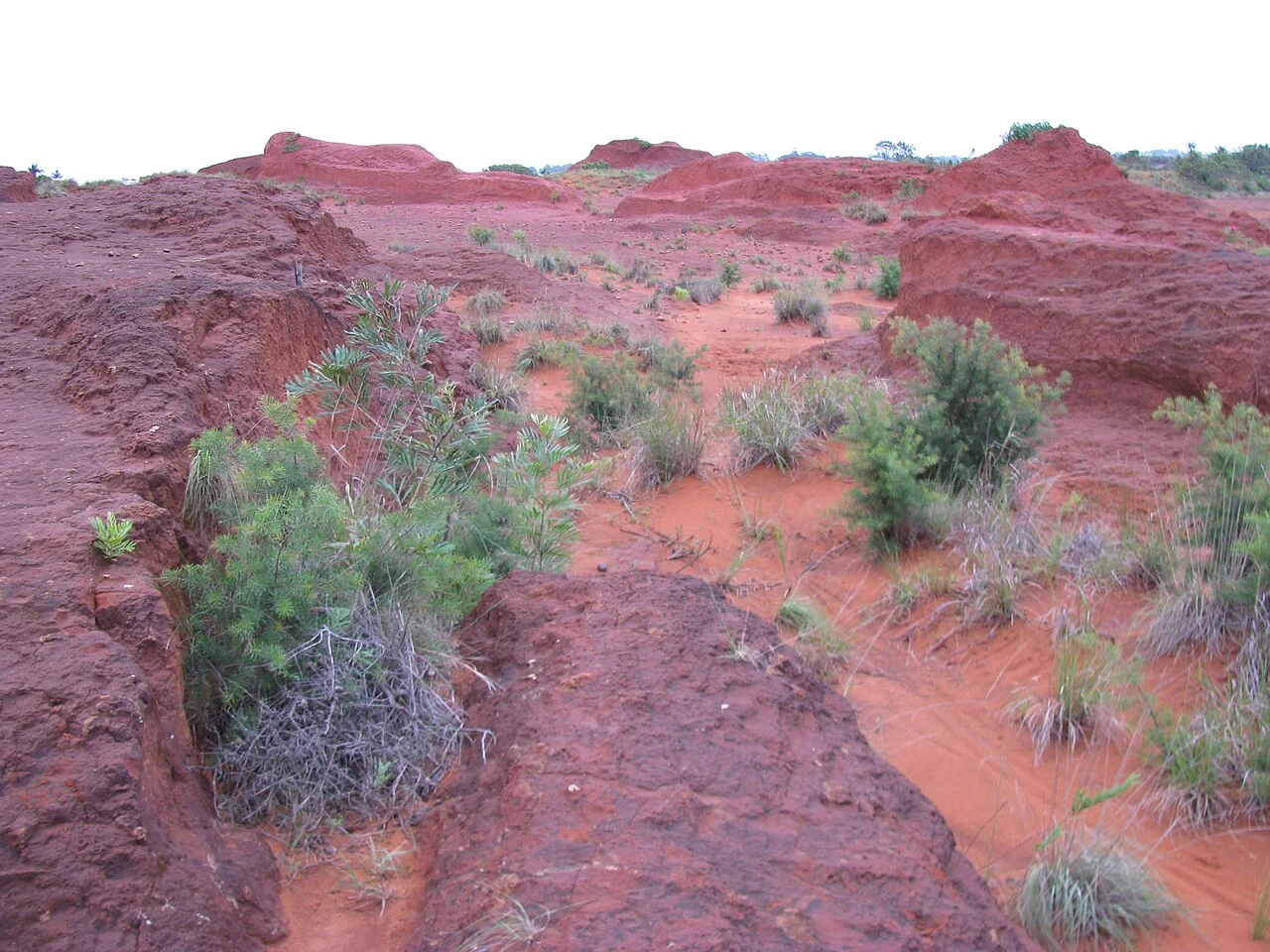 Photo of Port Edward