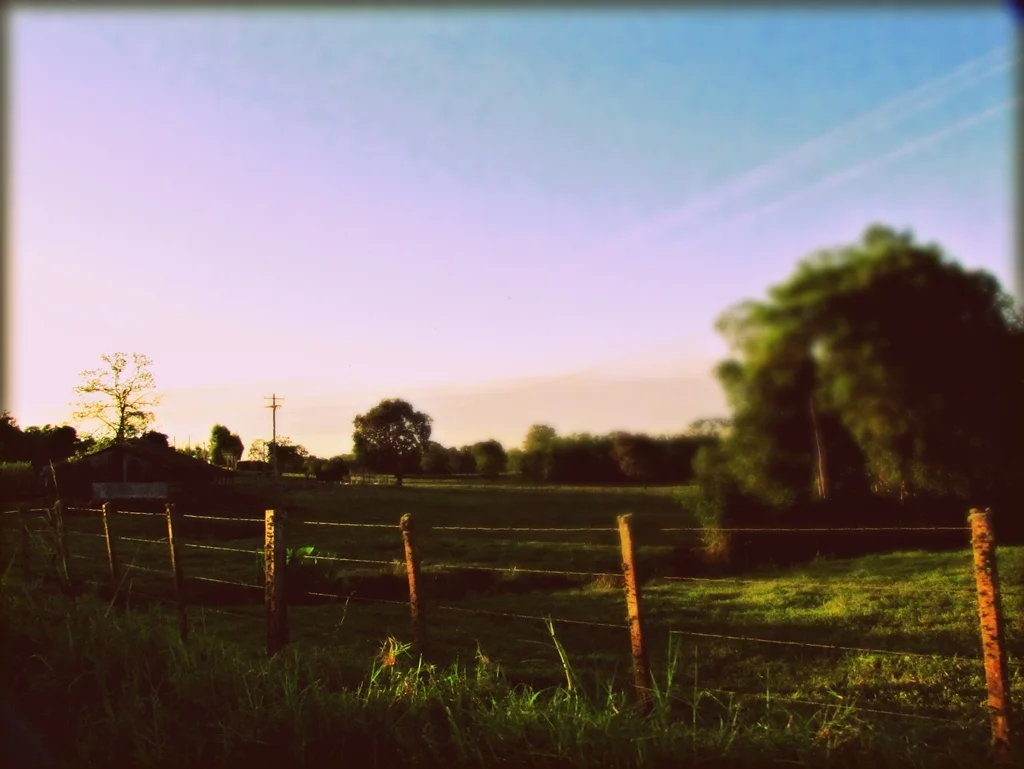 Photo of Porto Vera Cruz