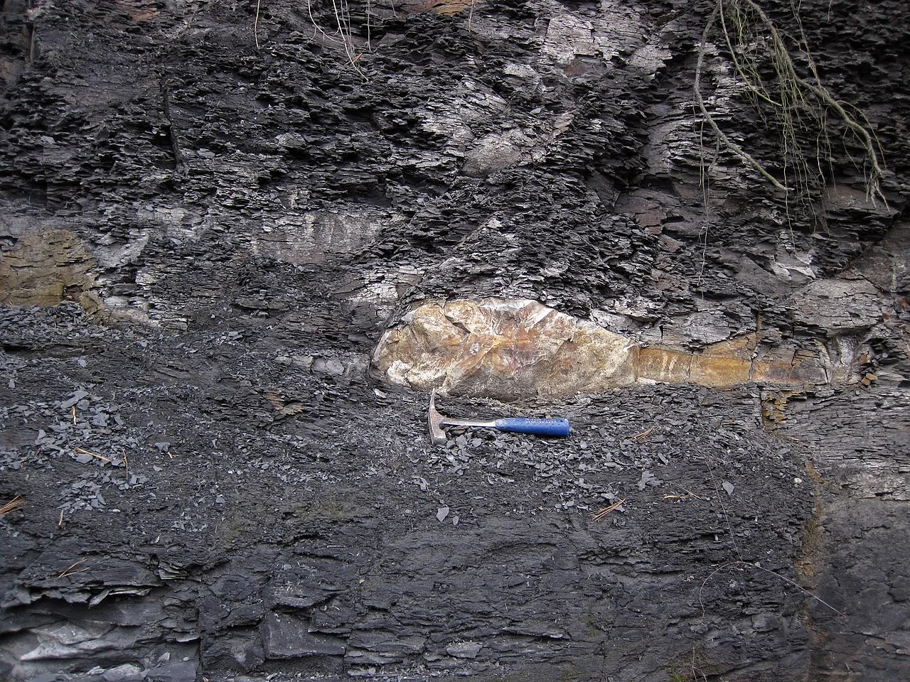 Photo of Pottsville Beach