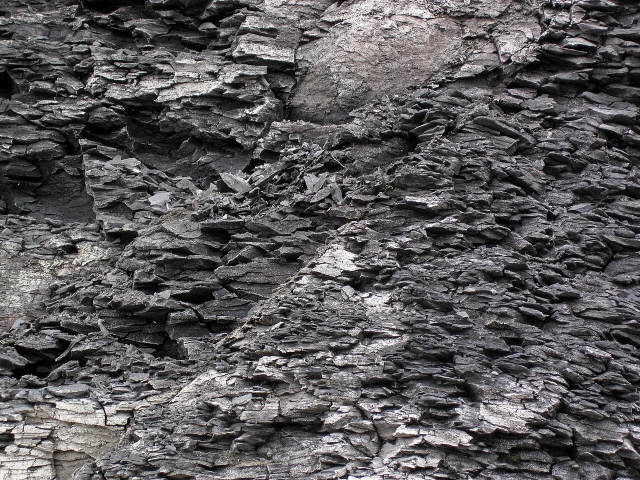 Photo of Pottsville Beach