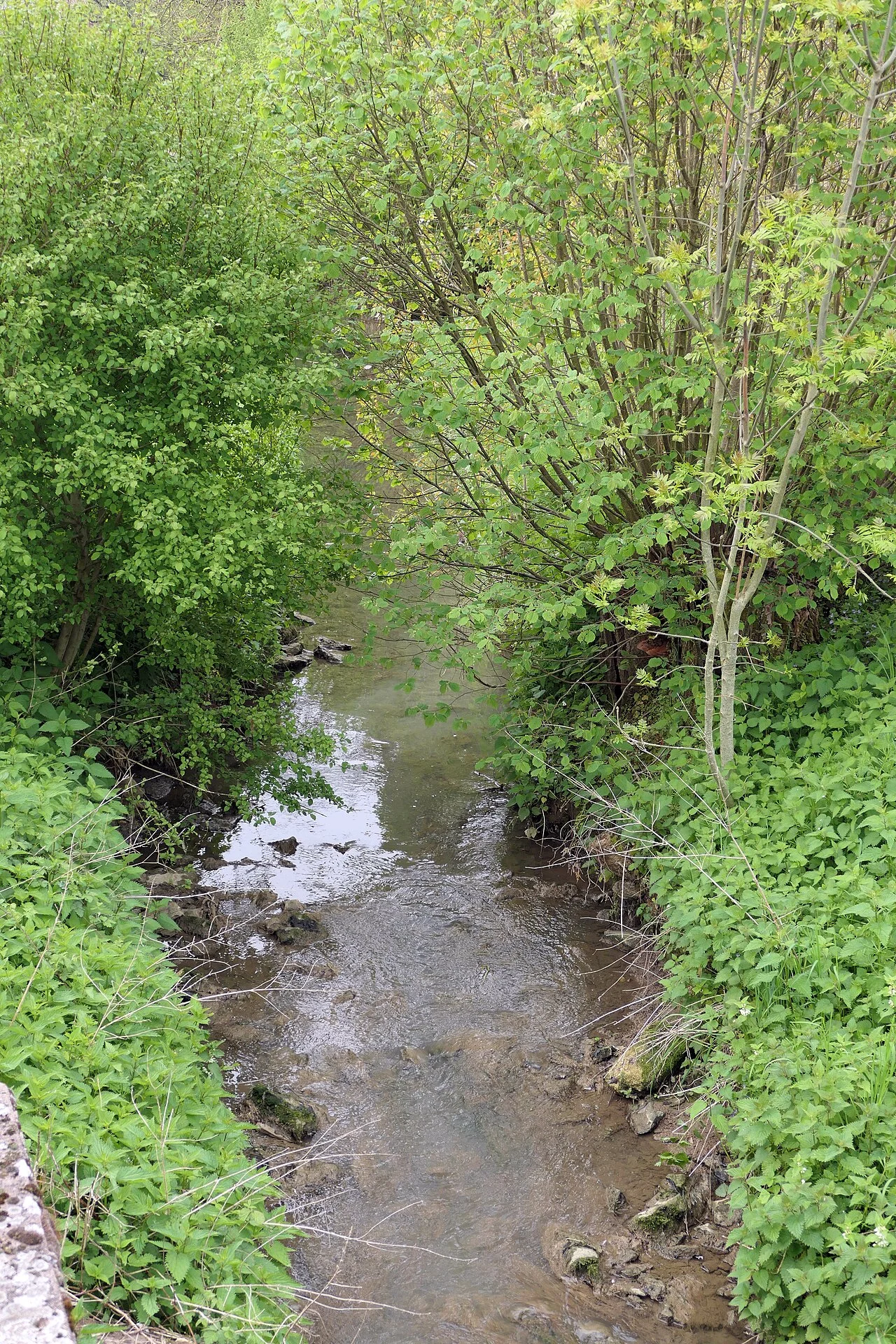 Photo of Pouilley-les-Vignes