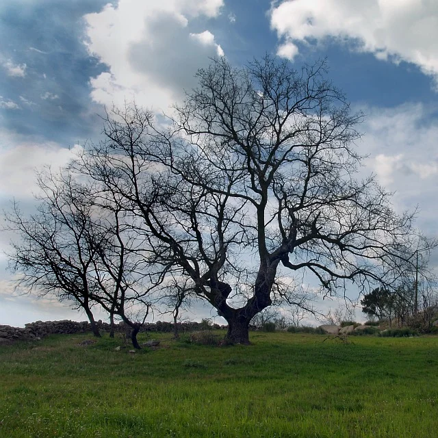 Photo of Póvoa e Meadas