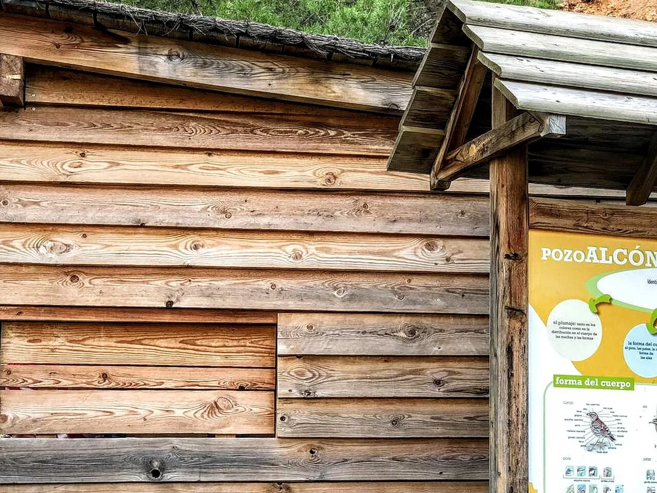 Photo of Pozo Alcón