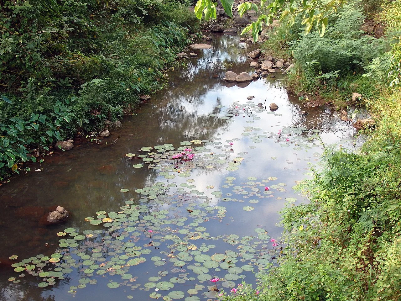 Photo of Prachin Buri