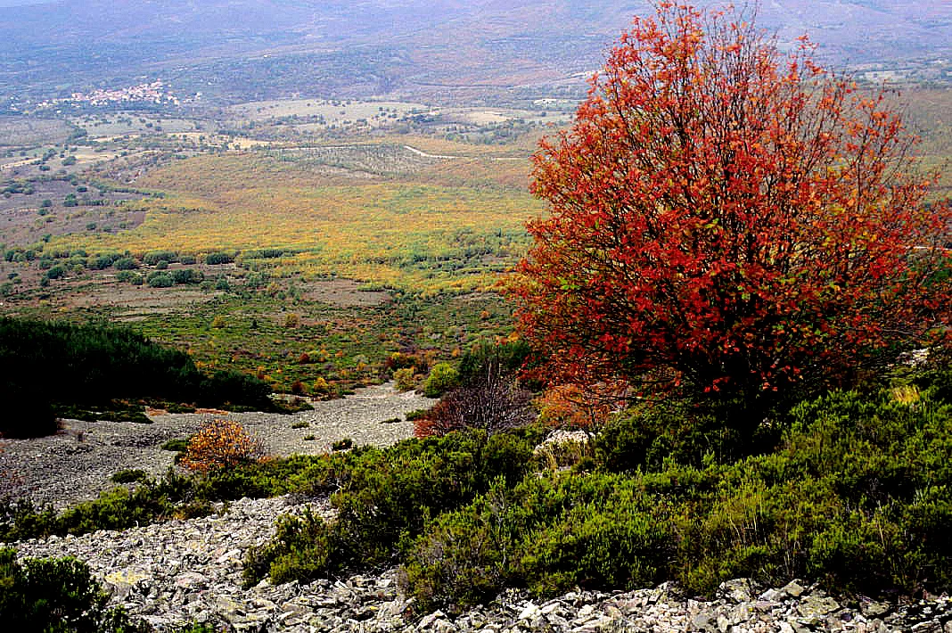 Photo of Prádena del Rincón