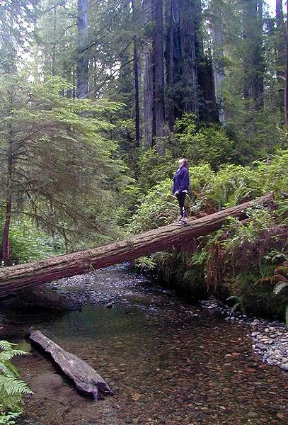 Photo of Prairie Creek