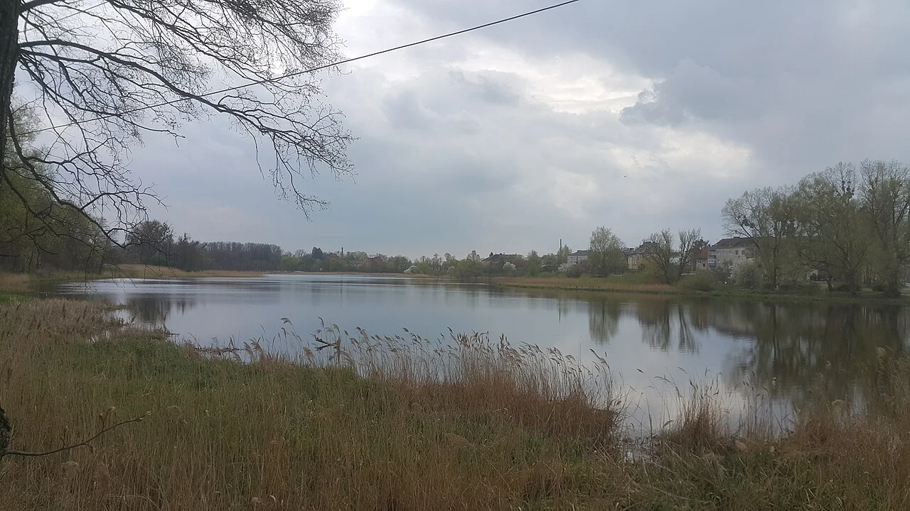 Photo of Pravdinskiy