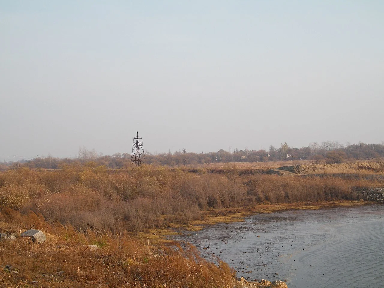 Photo of Priamurskiy