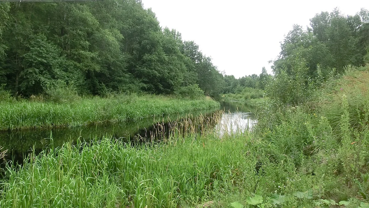 Photo of Priladozhskiy