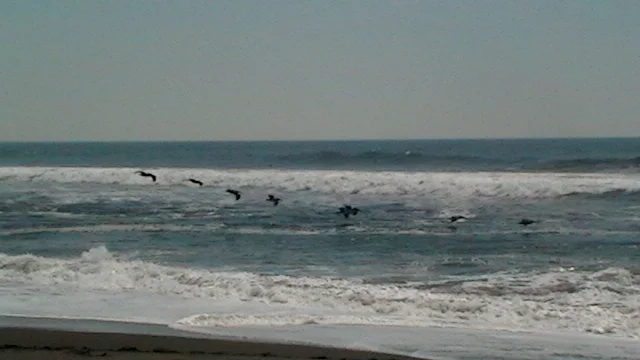 Photo of Primero de Mayo