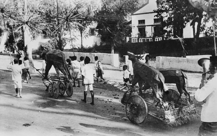 Photo of Probolinggo