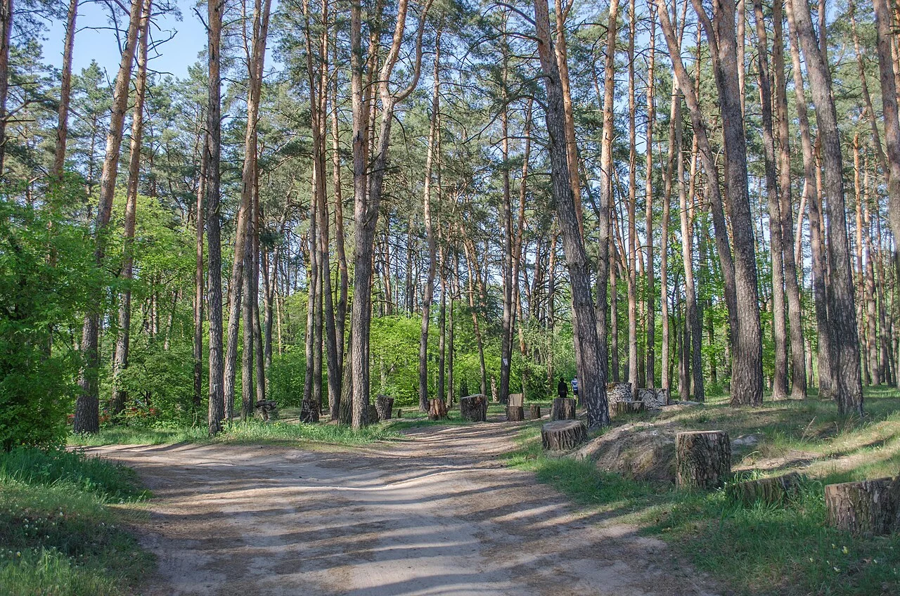 Photo of Proletarskyi