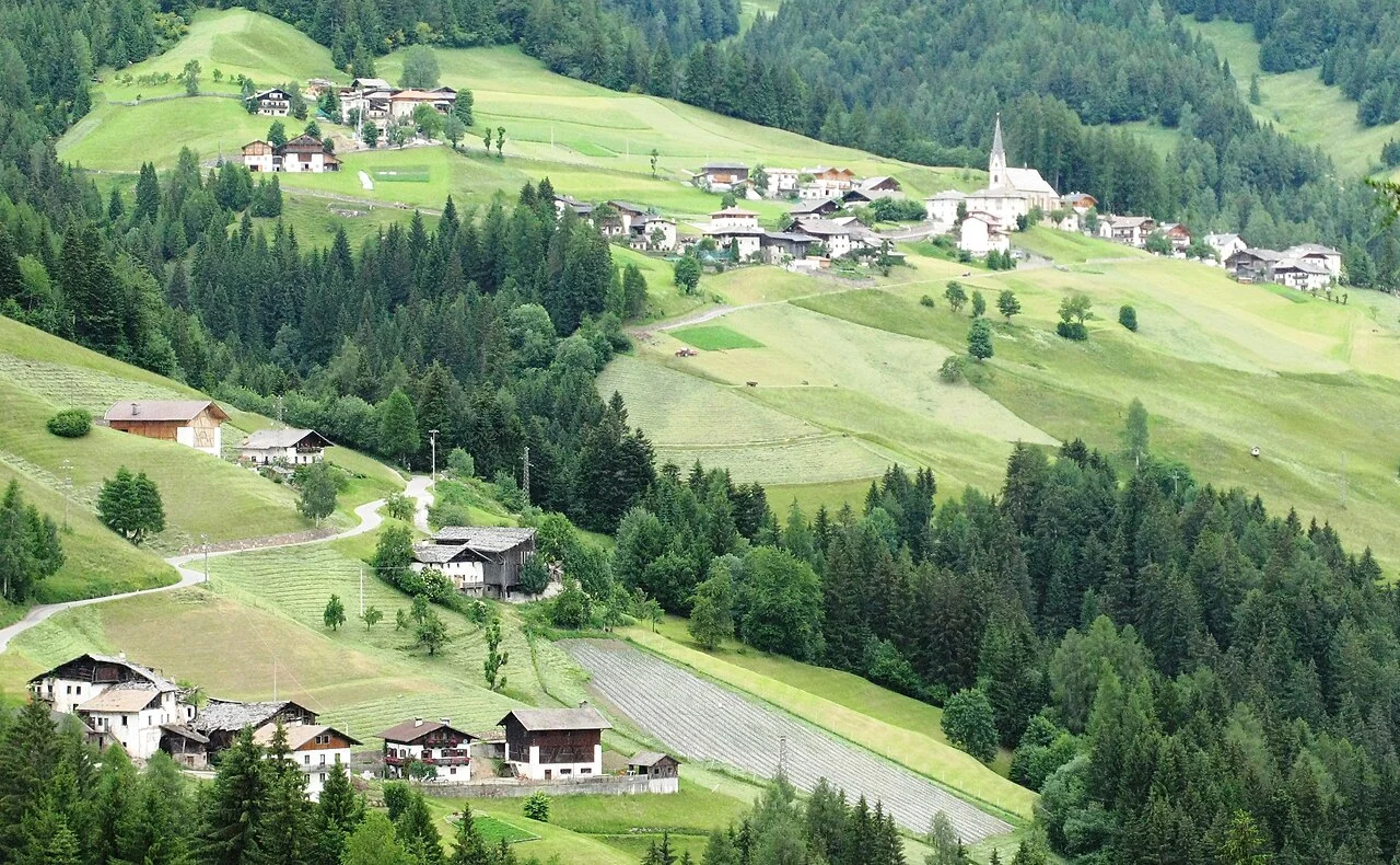 Photo of Proves - Proveis