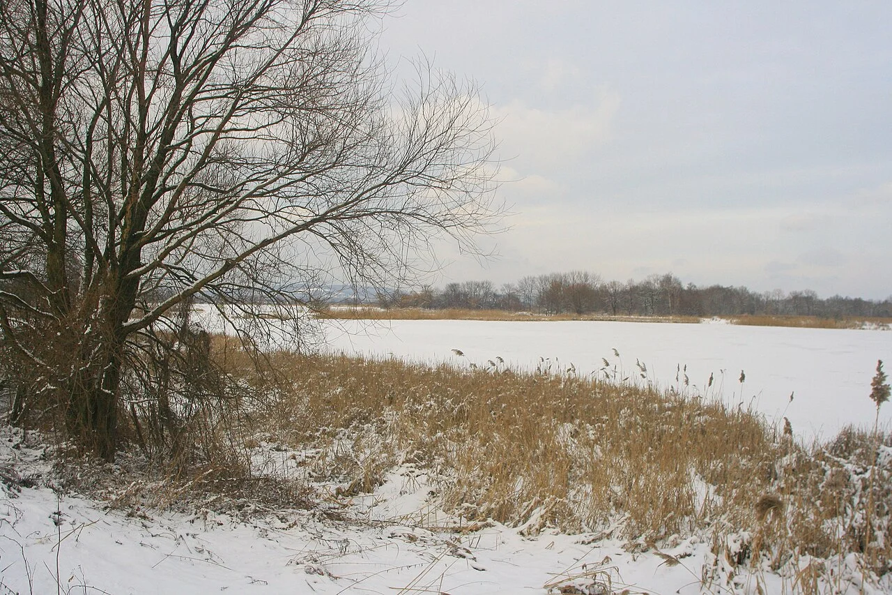 Photo of Przeciszów