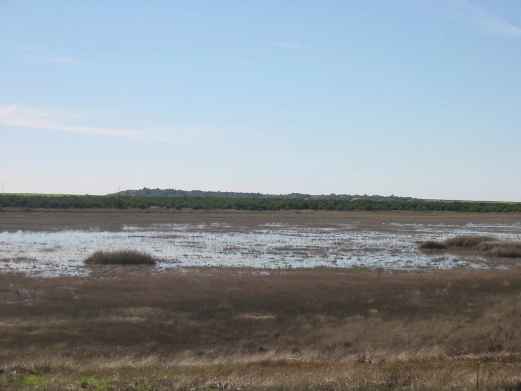 Photo of Puebla de Beleña