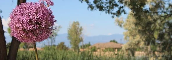 Photo of Pueblo West