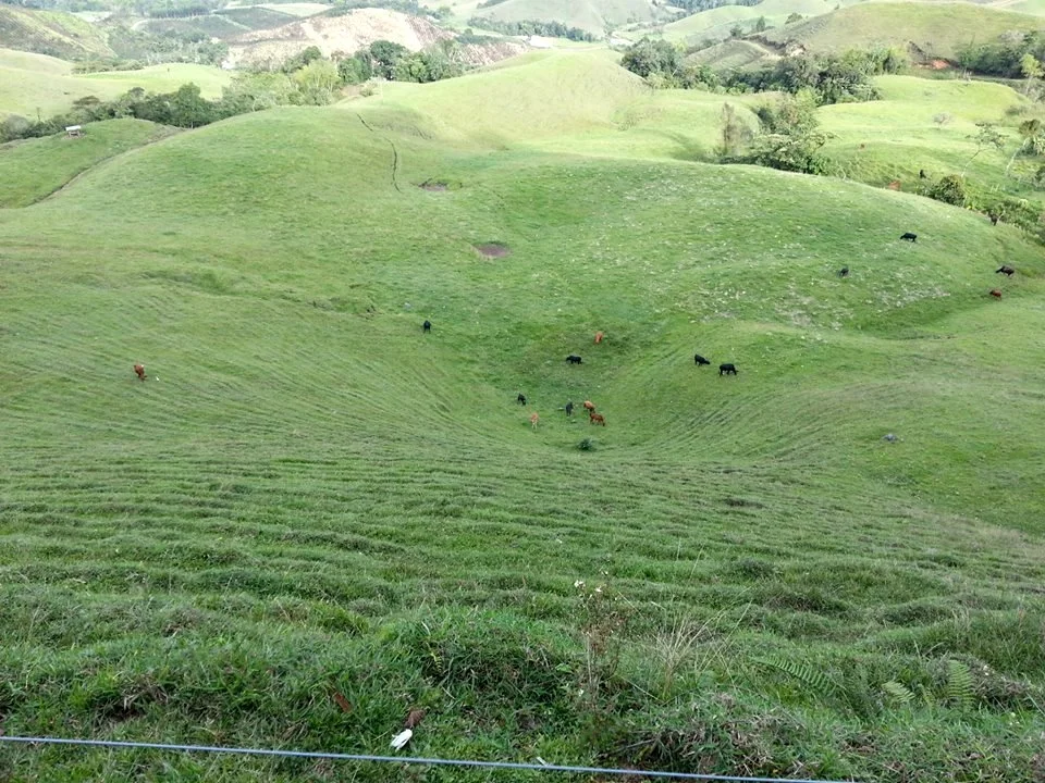 Photo of Pueblorrico