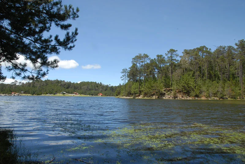 Photo of Puentecillas