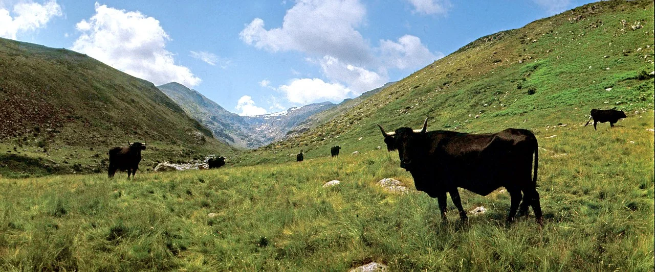 Photo of Puerto Castilla