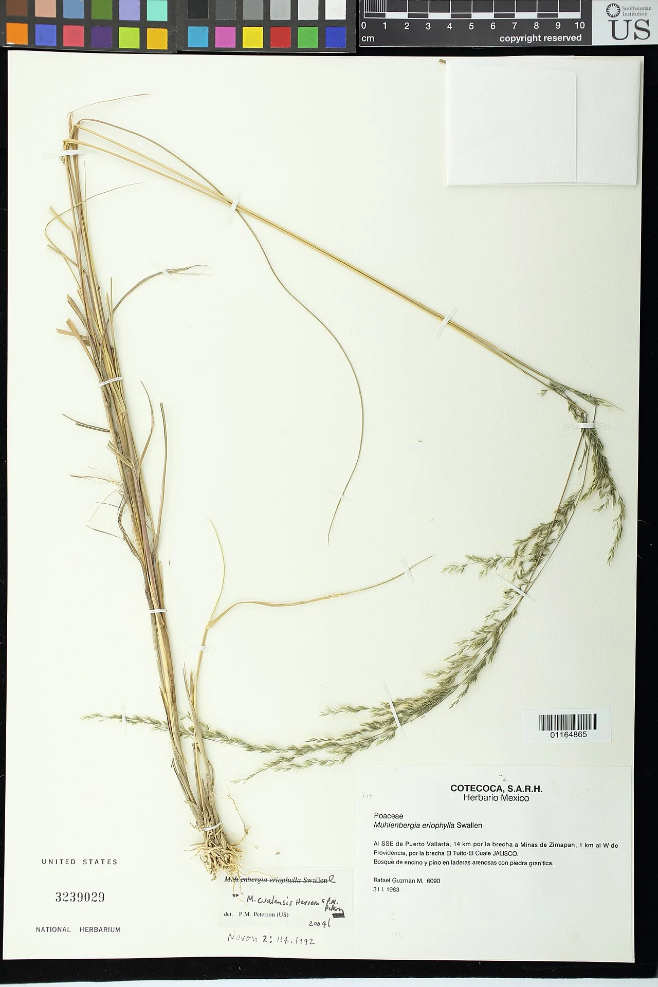 Photo of Puerto de Providencia